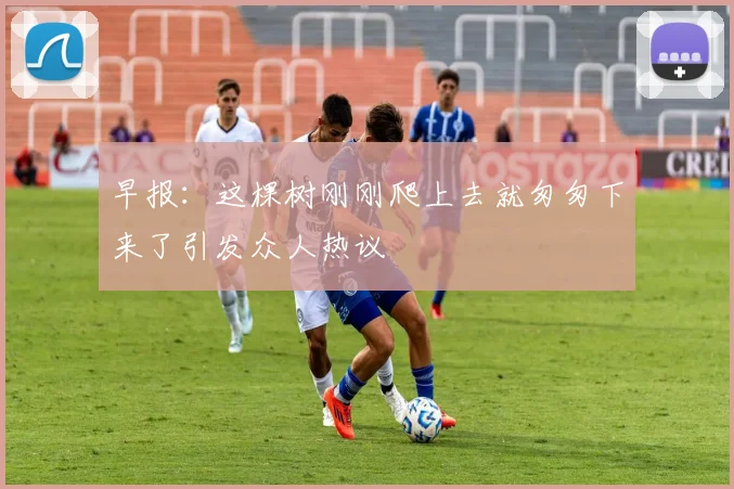 早报：这棵树刚刚爬上去就匆匆下来了引发众人热议